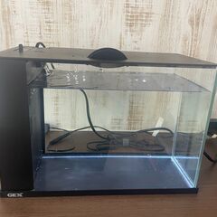【使用済み品】GEX　ラクテリア　水槽セットの画像