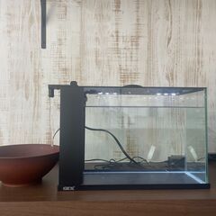 【使用済み品】GEX　ラクテリア　水槽セットの画像