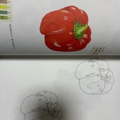 【未使用】本物のような色鉛筆の美しいぬり絵の画像