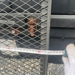 ヒッチキャリア　
の画像