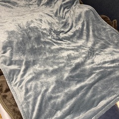 電気掛敷毛布（グレー）の画像