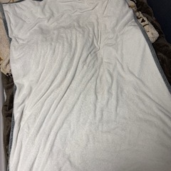 電気掛敷毛布（グレー）の画像
