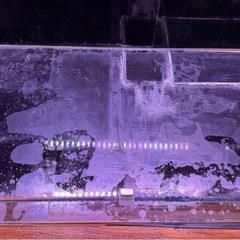 【DOOA】ネオグラスパルダ 600の画像