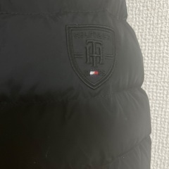 トミーフィルフィガーダウンの画像