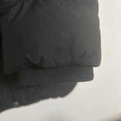 トミーフィルフィガーダウンの画像