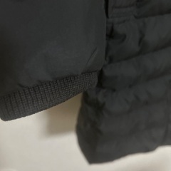 トミーフィルフィガーダウンの画像