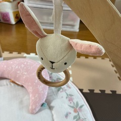 ベビージムの画像