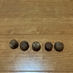 とちのみの画像