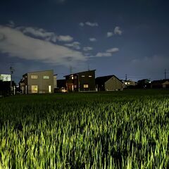 2025年山梨県産　あさひの夢（生産直売）の画像