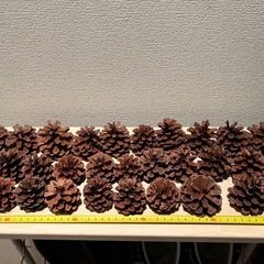 松ぼっくり30個リースや製作用の画像