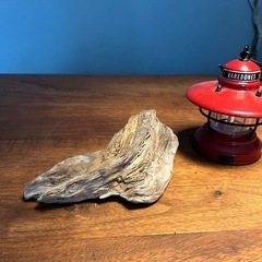 20 手羽先〜風　流木…天然物、インテリア、オブジェの画像