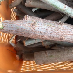 薪にどうですかの画像