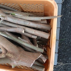 薪にどうですかの画像