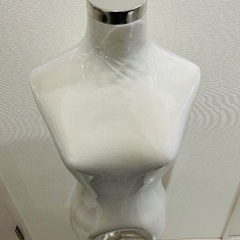 トルソー　の画像