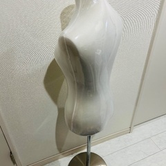 トルソー　の画像