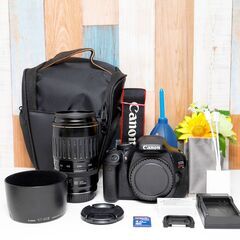 【全国送料無料】 Canon EOS Kiss X5✨ ショット数わずか420回!! カメラバッグ付き 超望遠レンズセット ズームセット✨ 届いたらすぐに使えます✨ キヤノン キャノンの画像