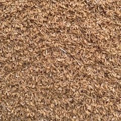 もみ殻　籾殻　もみ　家庭菜園　の画像