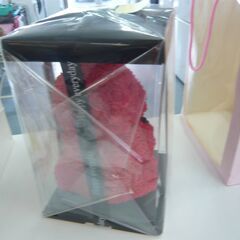 ID：240052　ローズベア　赤の画像