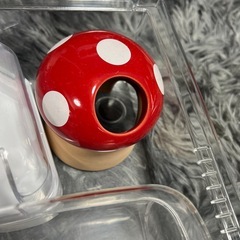 ハムスター飼育セットの画像