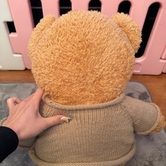 ぬいぐるみ　くまの画像