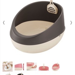  【11月14.15.16限定】猫トイレの画像