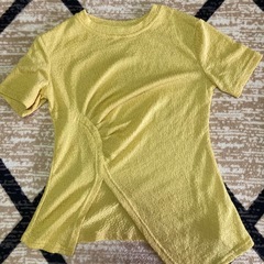 貰ってください　トップス２点の画像