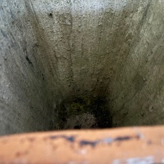 シャビーシックなテラコッタ　4点の画像