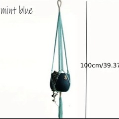 プラントハンガー　の画像