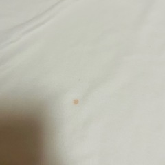 シミあり衣類セットの画像