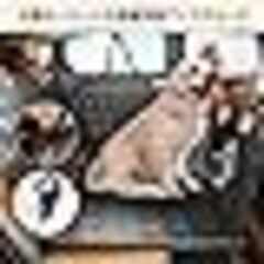 ペットドライブシート 犬 車 後部座席 犬 車用ベッド 犬ドライブシートの画像