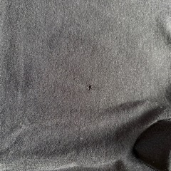 マタニティタイツ2セットの画像