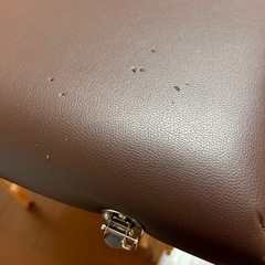 マッサージベッドの画像