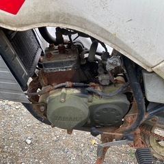 RZ50  初期の画像