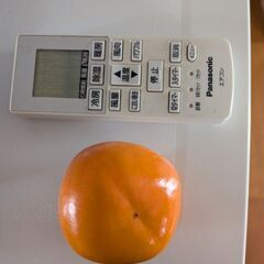 　定員になりましたので終了しました。渋柿　1個10円の画像