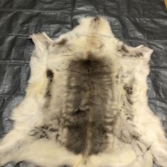 POKKA トナカイファー レザーマット 天然本革 北欧 ラグ 毛皮 インテリア 暖炉前 ソファ 北欧雑貨 フィンランド製　高級トナカイの毛皮　ムートン【糸島市内 送料無料】 251113-12の画像