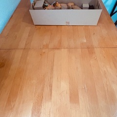 ダイニングテーブル、ハンギョドン、コオリッポ　セットの画像