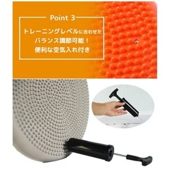 ディスク バランスクッションの画像
