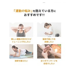 ディスク バランスクッションの画像