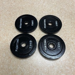 FIGHTING ROAD アイアンプレート 2.5kg 4枚セットの画像