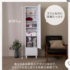 【すぐ引き取り希望】収納付き　姿見の画像