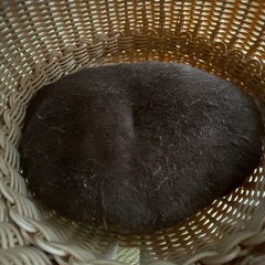 （受け渡し決定）猫ちぐら　猫用ベッドの画像