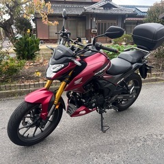 Hornet2.0 2023年式　自賠責2年付き！走行1,500km 綺麗一台！の画像