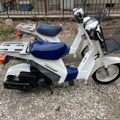 スズキMOLET 2台セット ジャンク又はレストアベースの画像