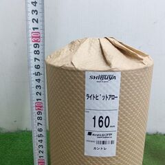 シブヤ ライトビットアロー 160π×250L【野田愛宕店】【店頭取引限定】【未使用】管理番号：ITZ92DZNO29Aの画像
