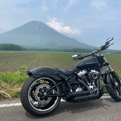 ハーレーダビットソンブレイクアウトの画像