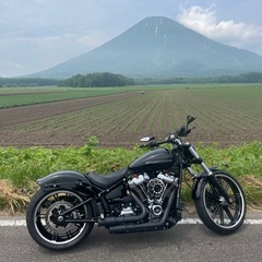 ハーレーダビットソンブレイクアウトの画像