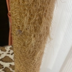 キャットタワーの画像