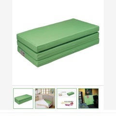 ラスト ヘルスウェーブゴールドDCバージョン セミダブル 新品未開封 骨盤矯正 腰痛 の画像