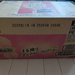 ウェルチ グレープフルーツ スパークリング 24本 ジュース 炭酸飲料 スルメの画像
