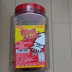 ウェルチ グレープフルーツ スパークリング 24本 ジュース 炭酸飲料 スルメの画像